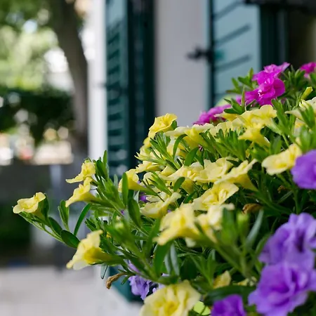 Apartmán Vana & Tea Luxury Split