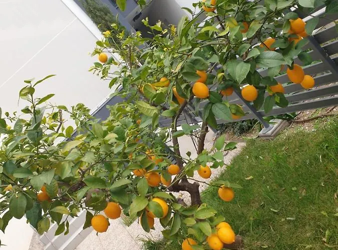 Vana & Tea Luxury Apartamento *