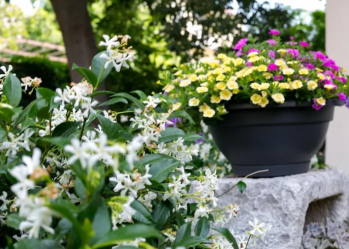 Vana & Tea Luxury Split