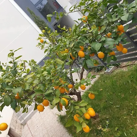 Vana & Tea Luxury Appartamento *