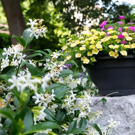 Vana & Tea Luxury Spalato