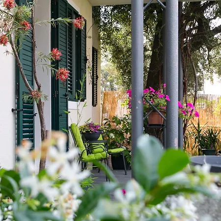 Vana & Tea Luxury Spalato