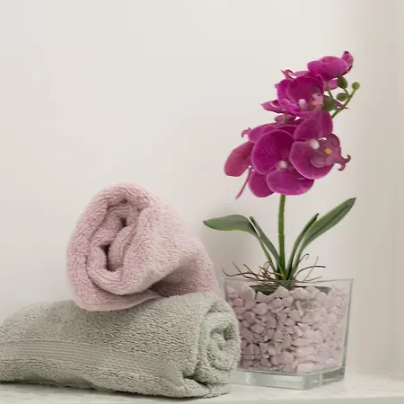 Vana & Tea Luxury Apartman Split