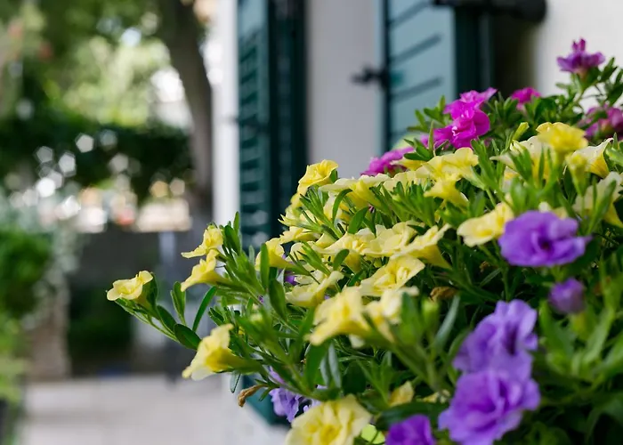 Apartmán Vana & Tea Luxury Split